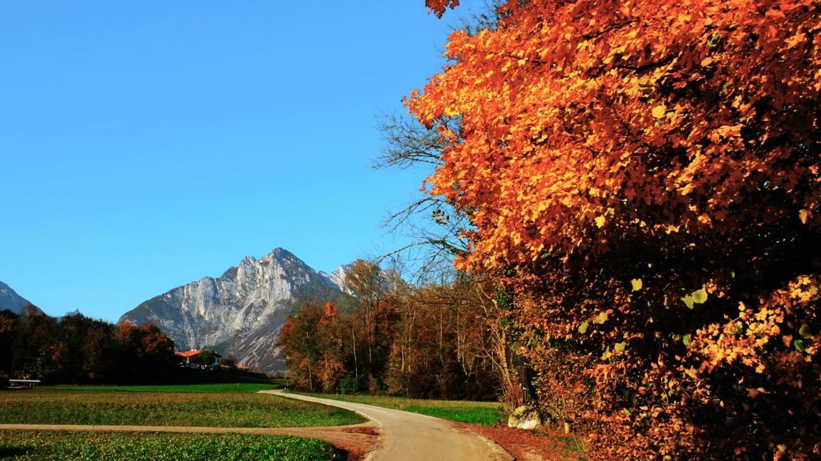 B&B Col Del Vin Беллуно Екстер'єр фото