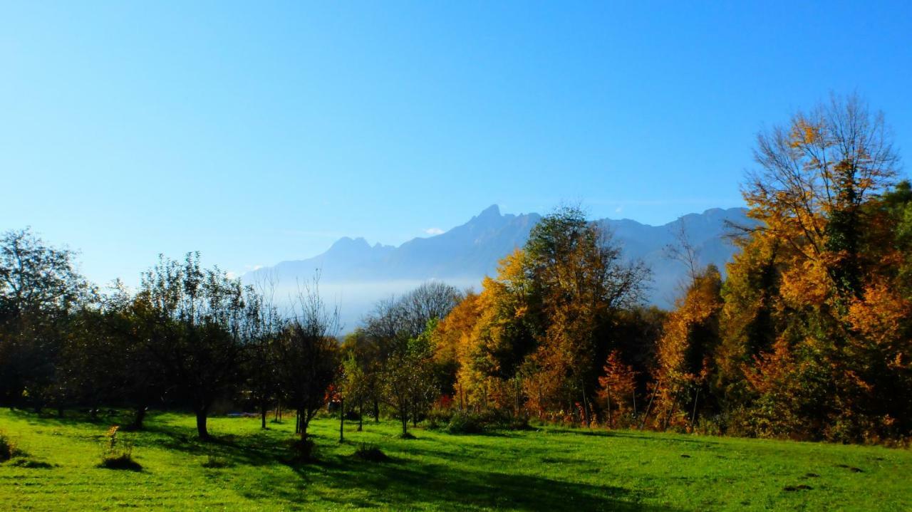 B&B Col Del Vin Беллуно Екстер'єр фото
